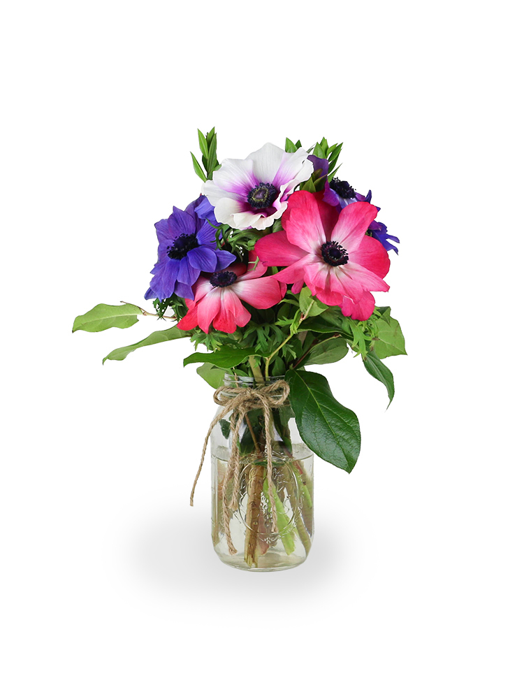 Battenfeld's Beauties 030A211-6401
