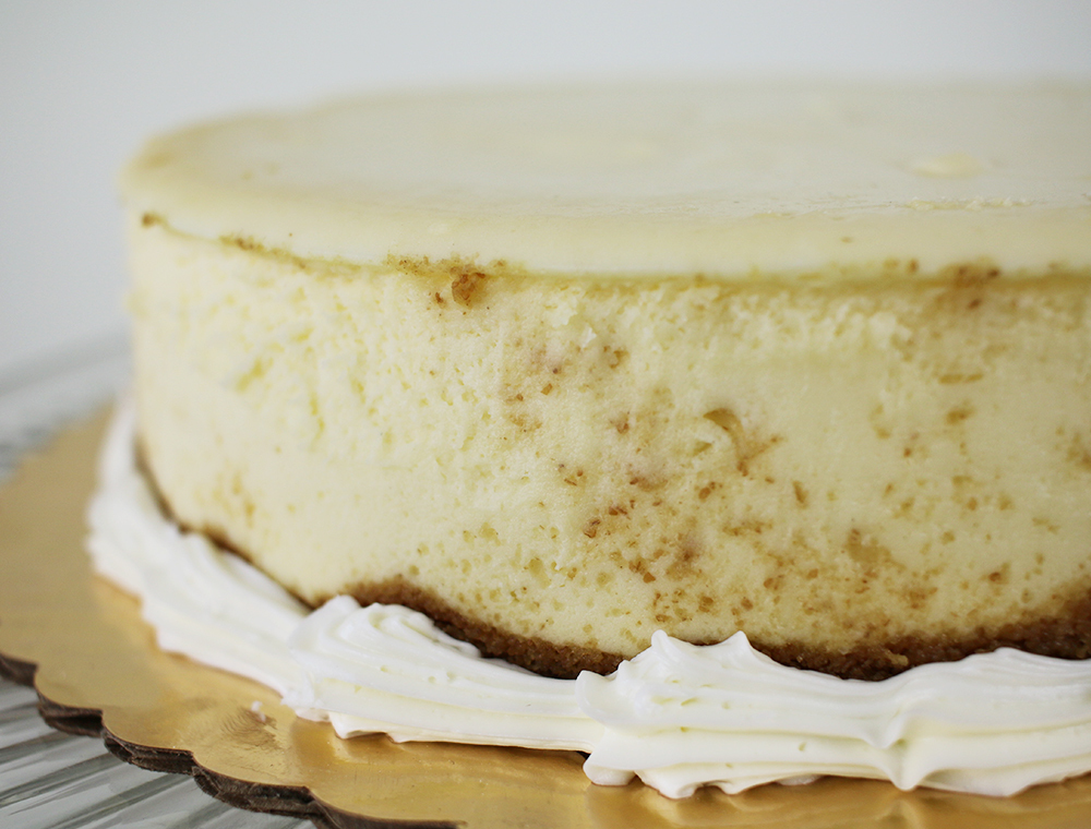 Plain Cheesecake