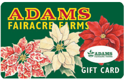 Adams Gift Card (Poinsettias) 010A041-6408