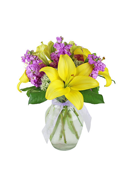Bright and Beautiful 030A623-6401