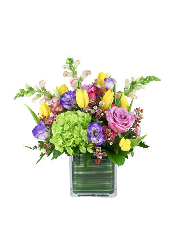 Garden Party 030A204-6401