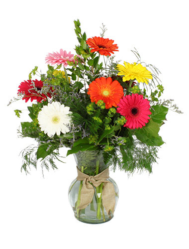 Sending Joy 030A618-6401