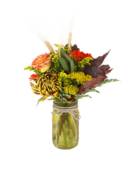 Fall For You 030A153-6401