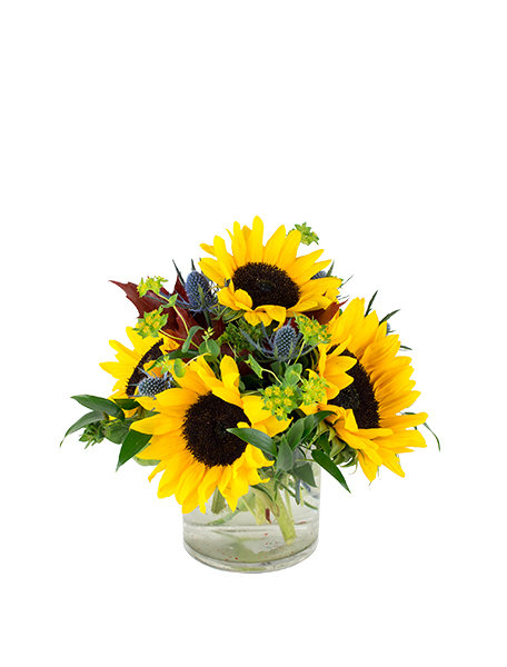 You Are My Sunshine 030A155-6401