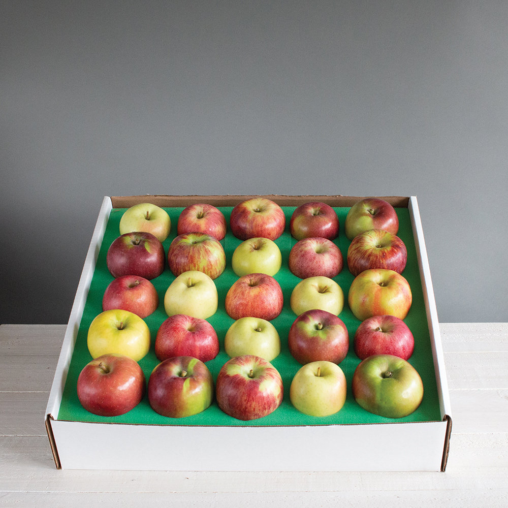 Just Apples 040A37-6426