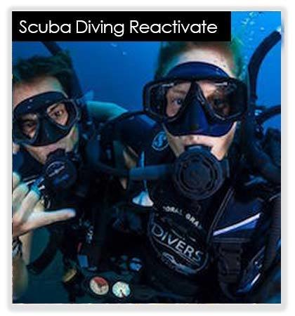 Refresh Dive 10049(base)
