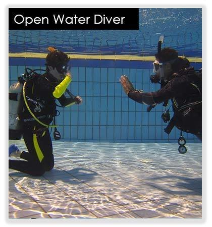 Open Water Diver 10073(base)