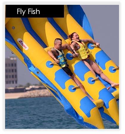Fly Fish 10007