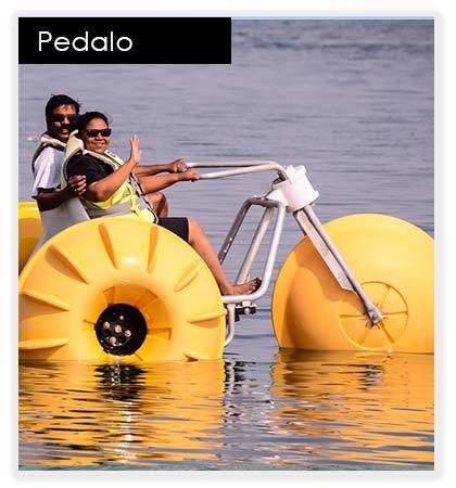 Pedal Boat 10039