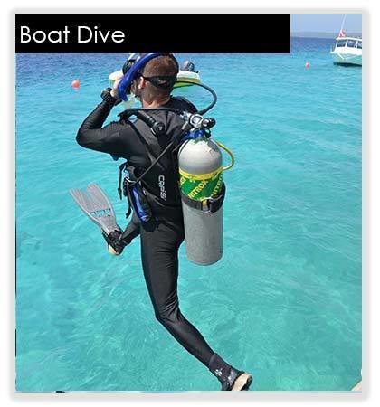 1 Boat Dive 10041(base)