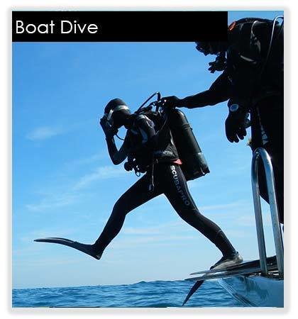 2 Boat Dives 10043(base)