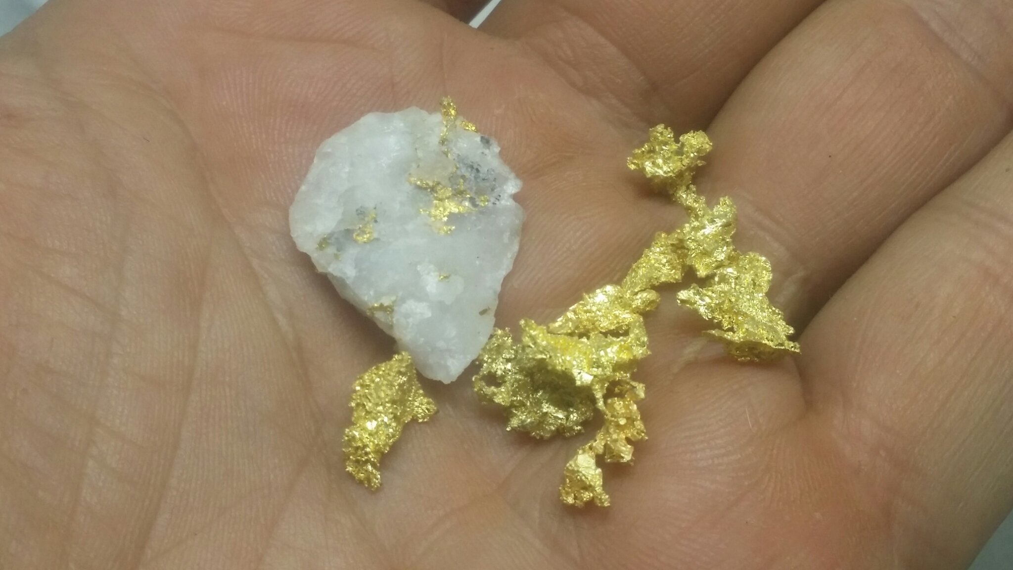 Worlds rarest paydirt - Colorado Quartz gold mine 00031