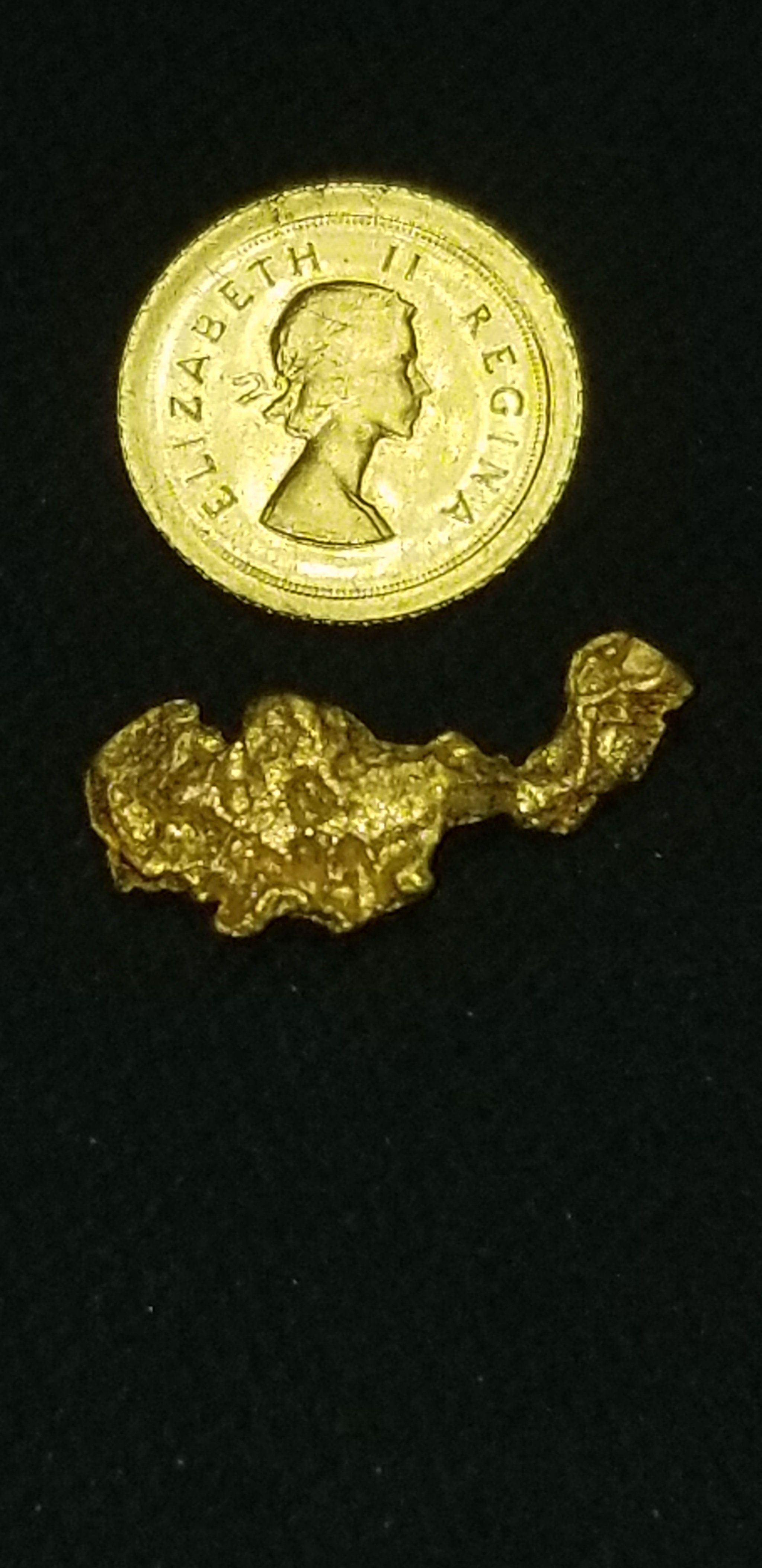 Huge gold nugget 00140