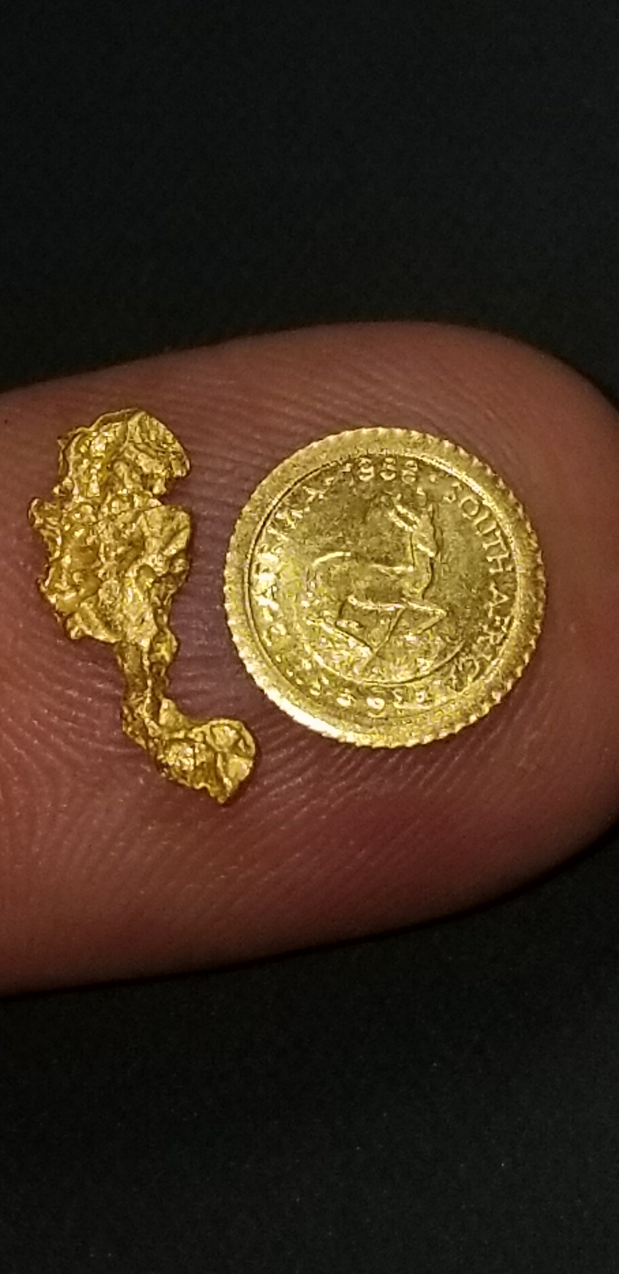 Huge gold nugget