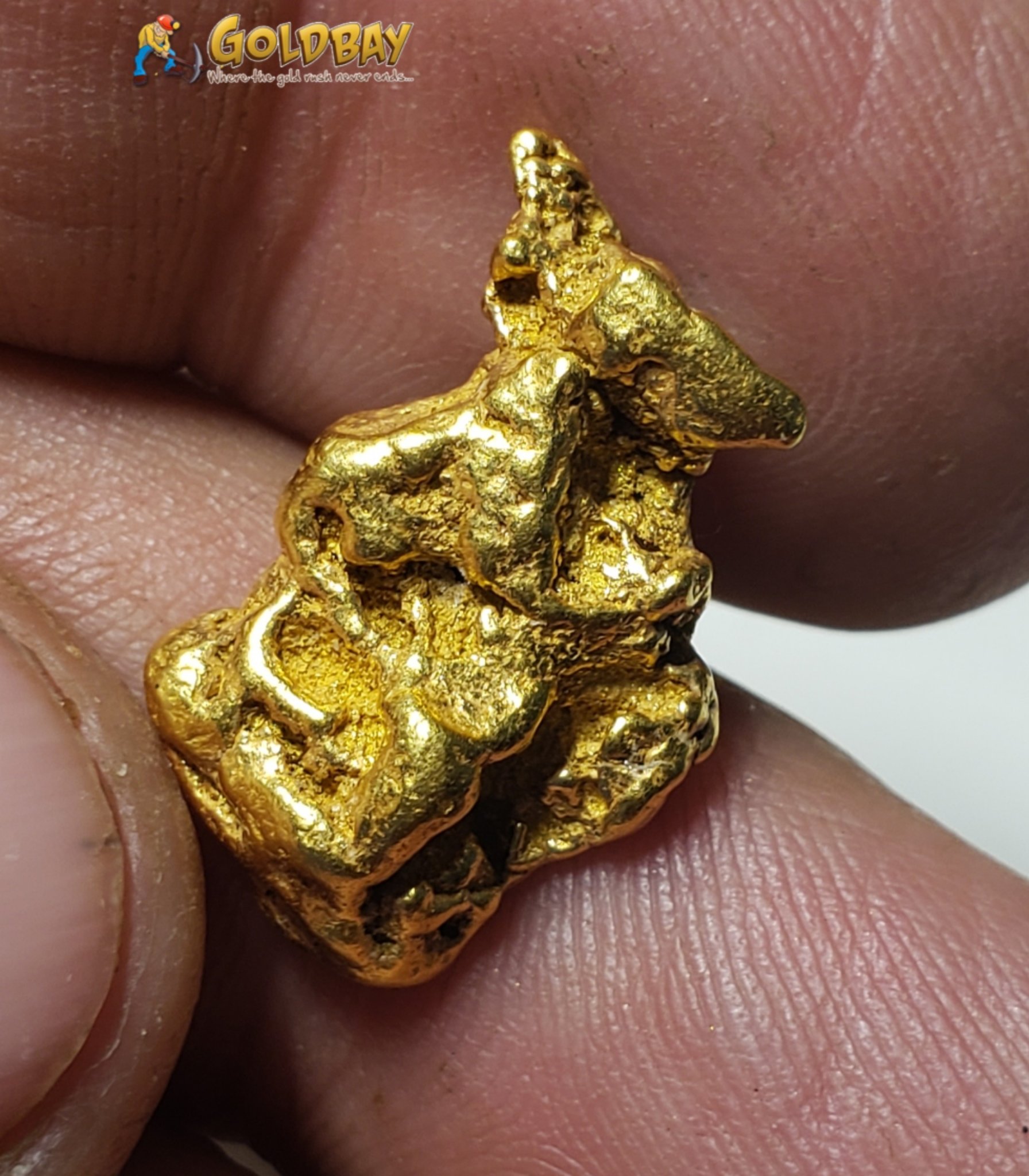7.67 gram Yukon gold nugget 00209