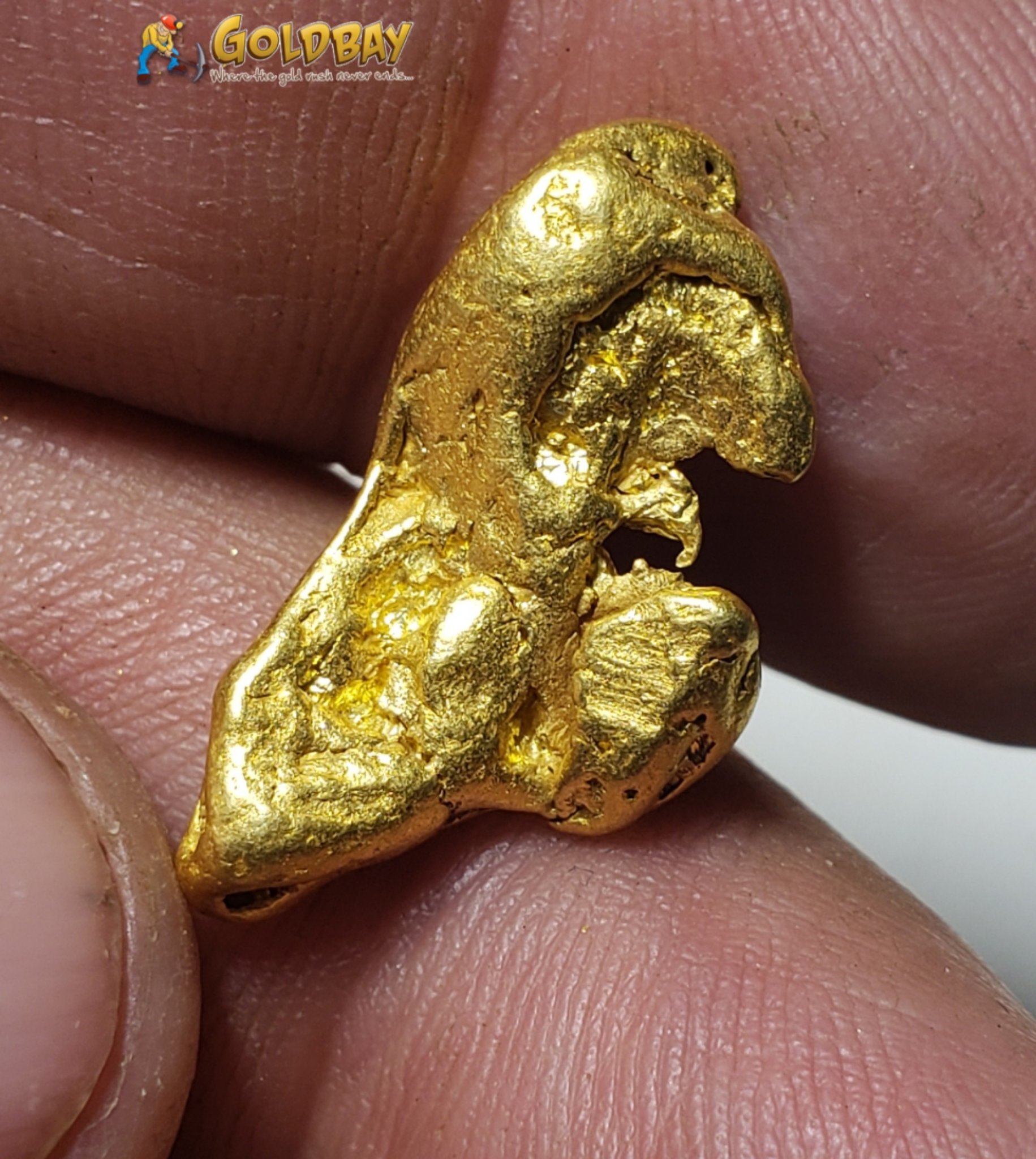 6.05 gram Yukon gold nugget 00210