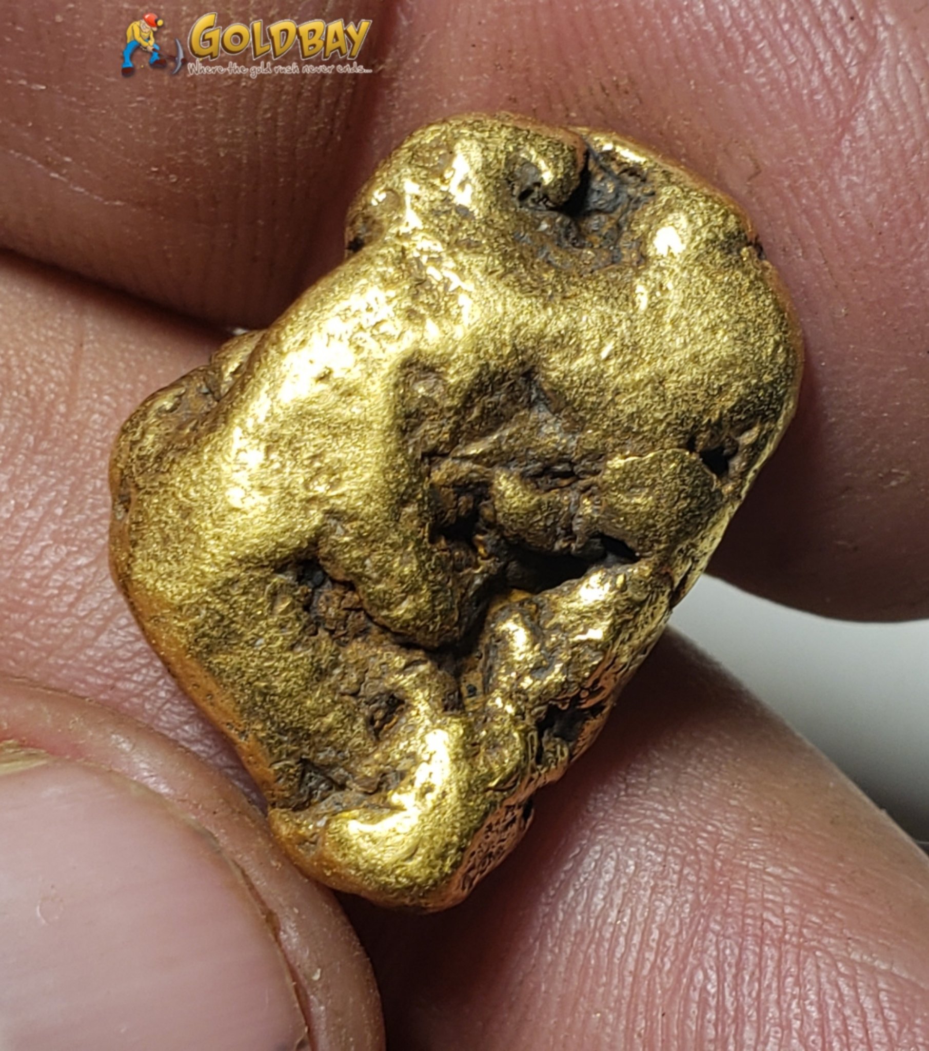 20.25 gram Montana Gold Nugget 00228