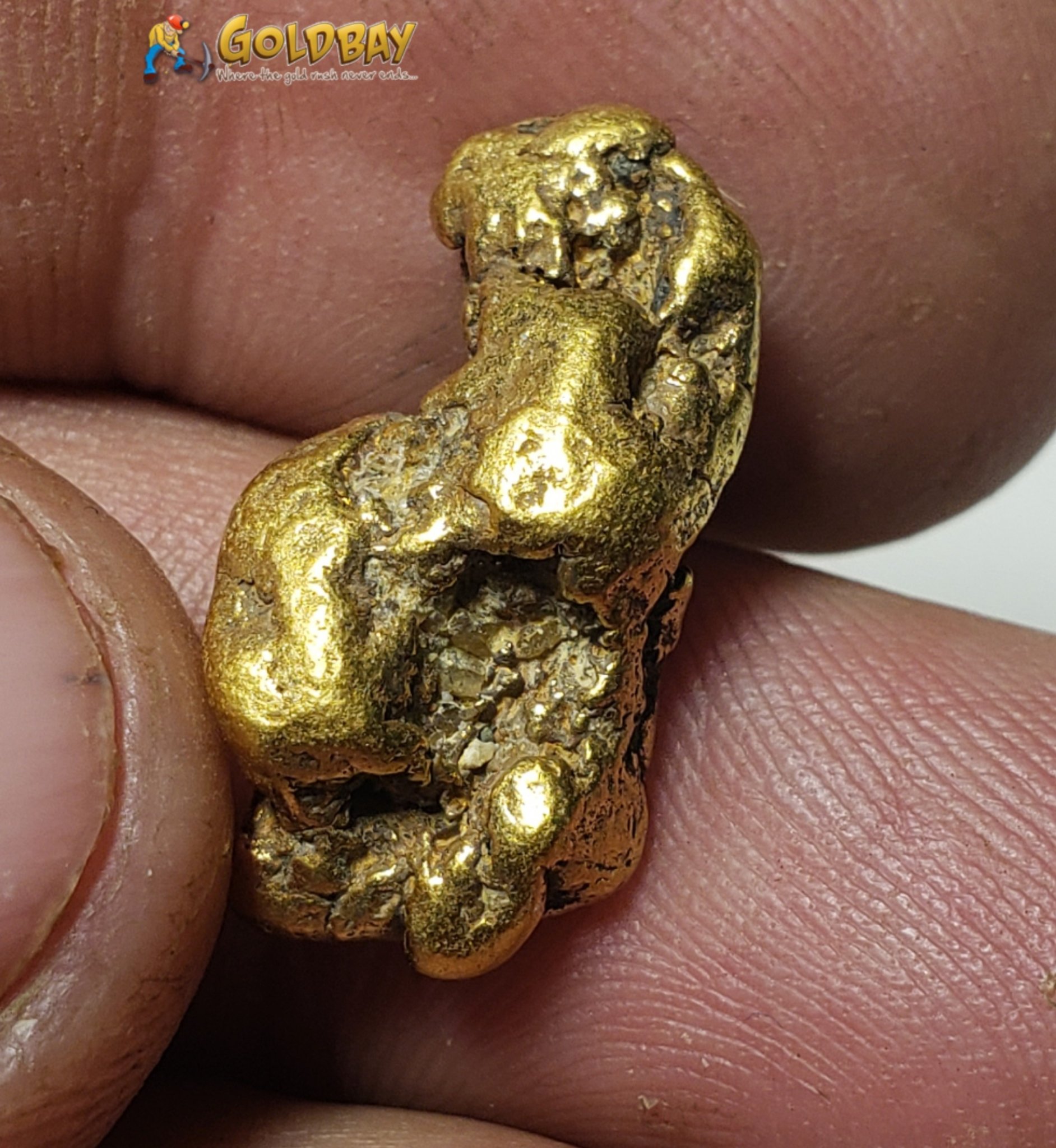 10.49 gram Montana Gold Nugget 00230