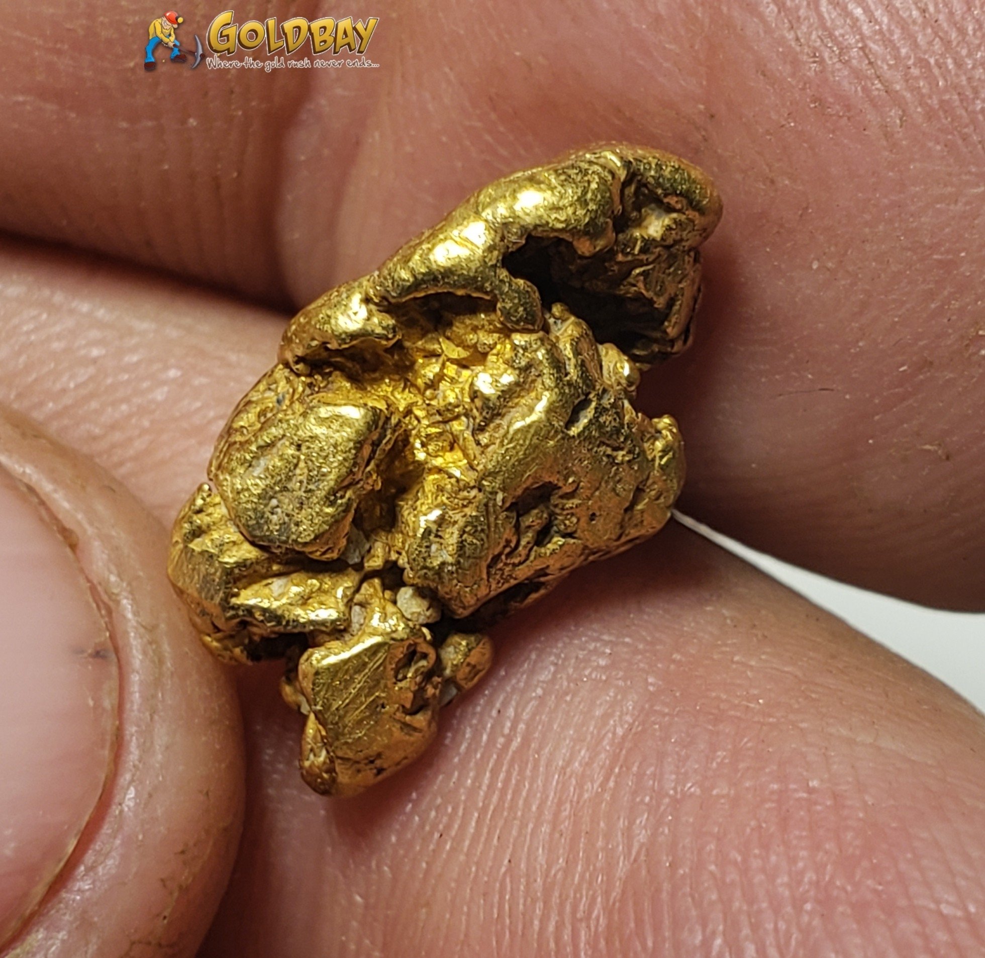 6.13 gram Montana Gold Nugget 00231