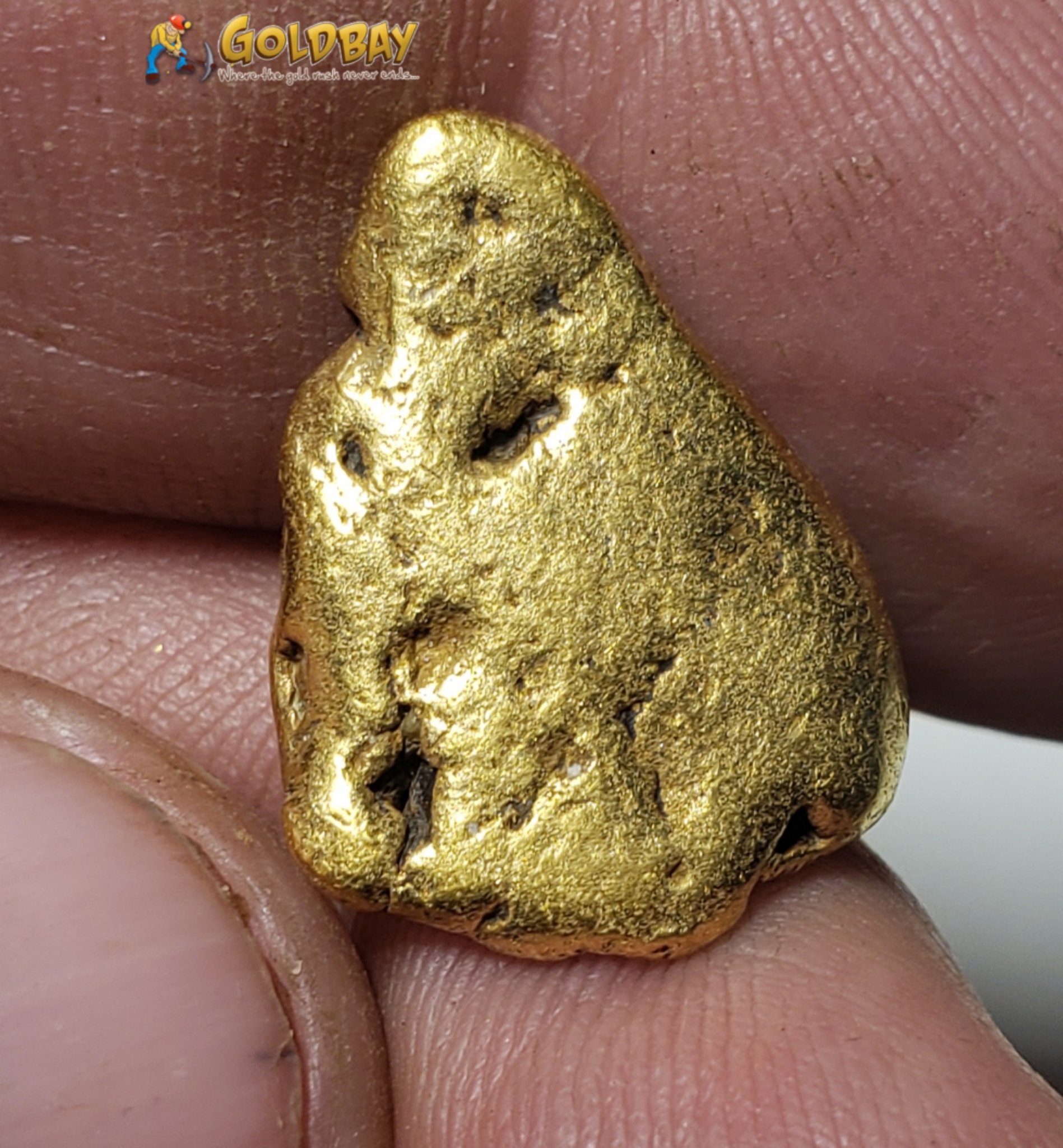 7.67 gram Montana Gold Nugget 00237