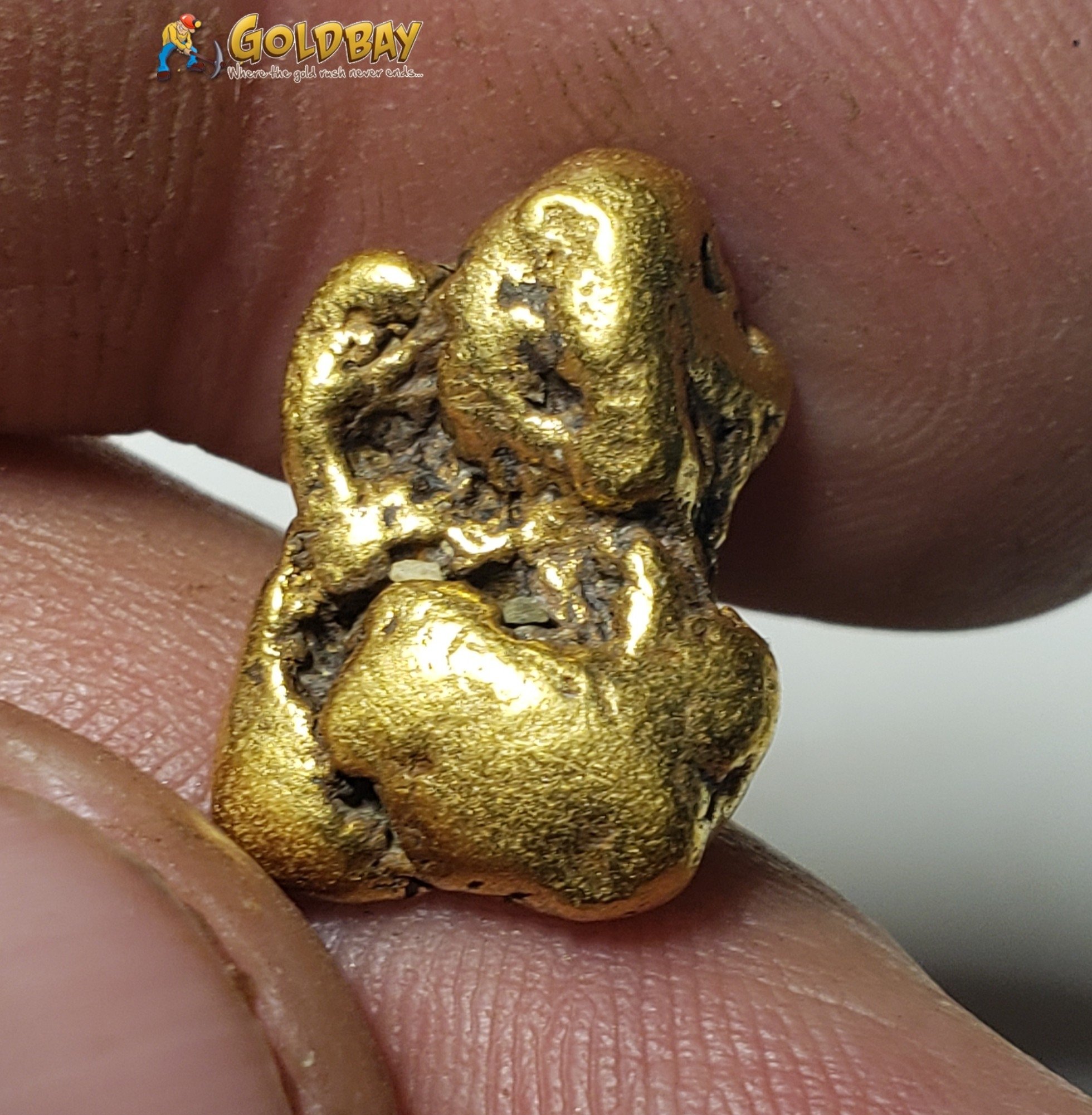 7.14 gram Montana Gold Nugget 00238
