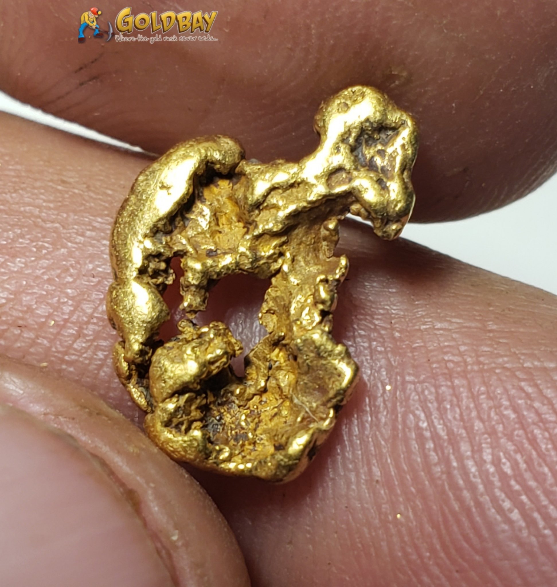 1.72 gram Montana Gold Nugget 00239