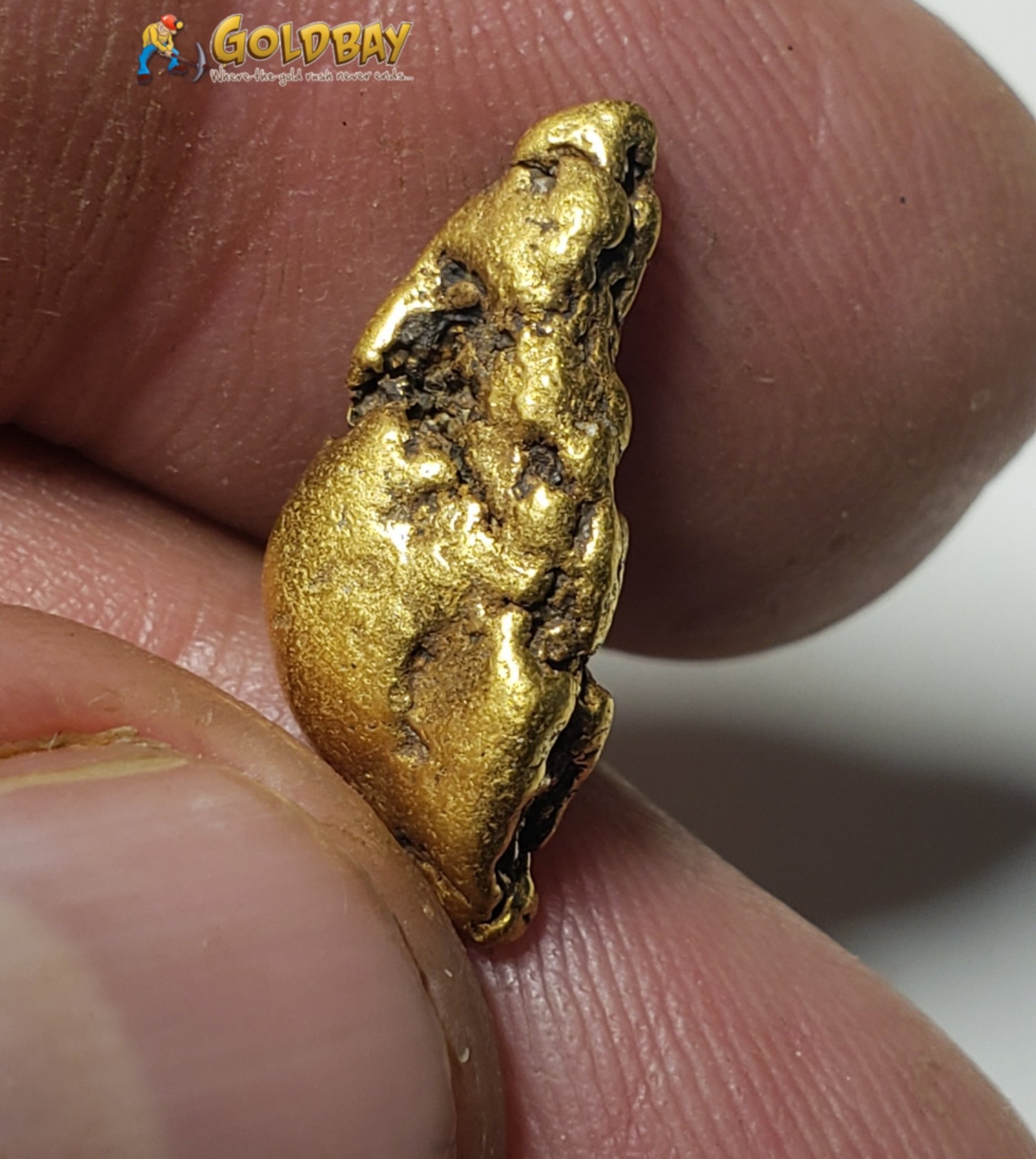 4.10 gram Montana Gold Nugget 00240