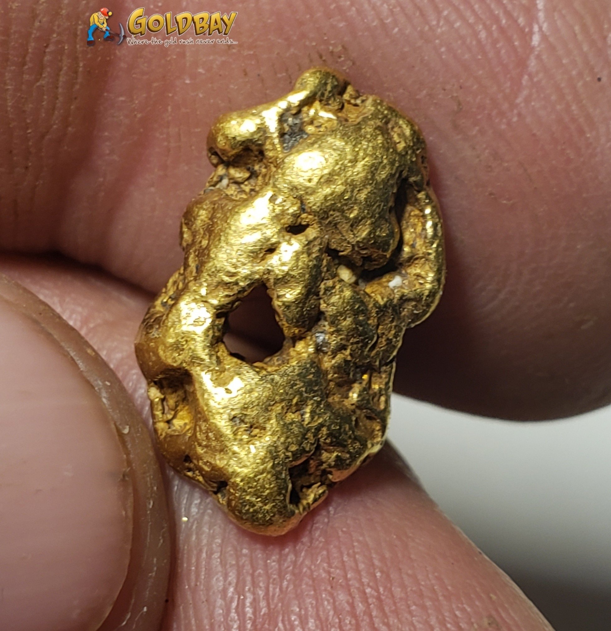 4.50 gram Montana Gold Nugget 00241