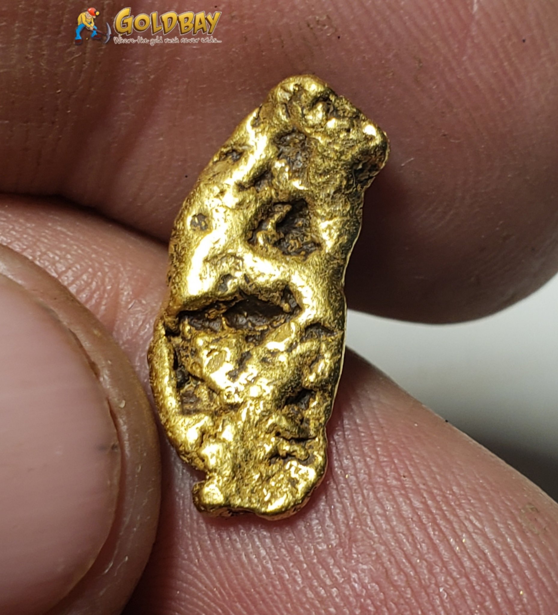 3.73 gram Montana Gold Nugget 00242