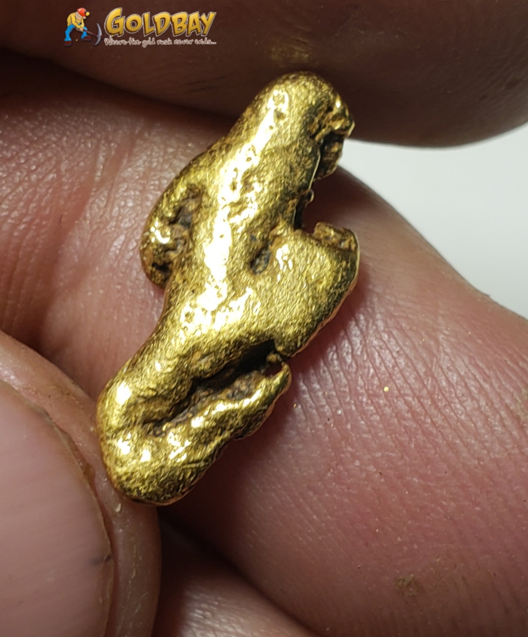 3.45 gram Montana Gold Nugget 00245