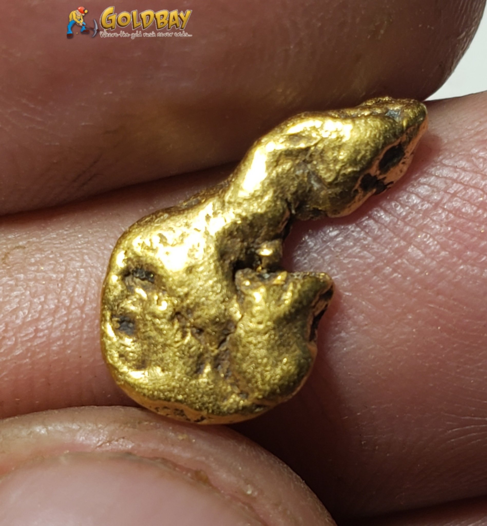 2.59 gram Montana Gold Nugget 00246