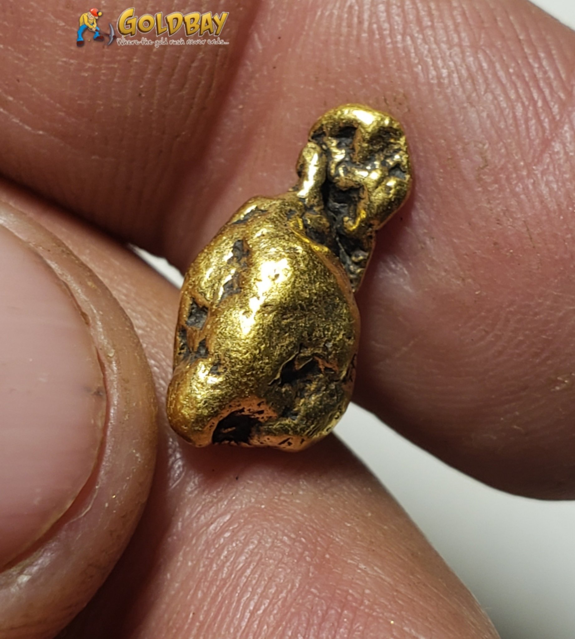 4.46 gram Montana Gold Nugget 00248