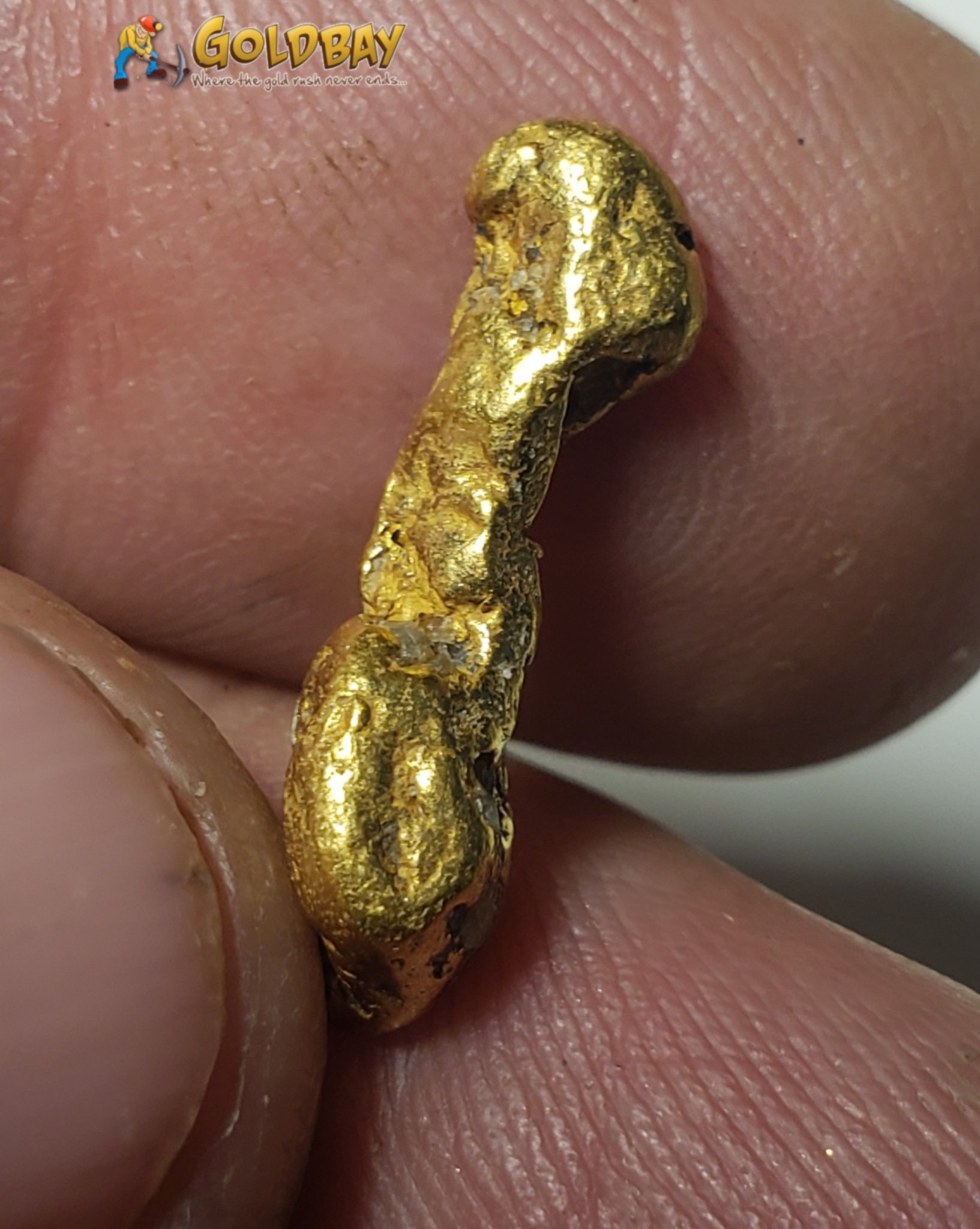3.36 gram long Montana Gold Nugget 00247