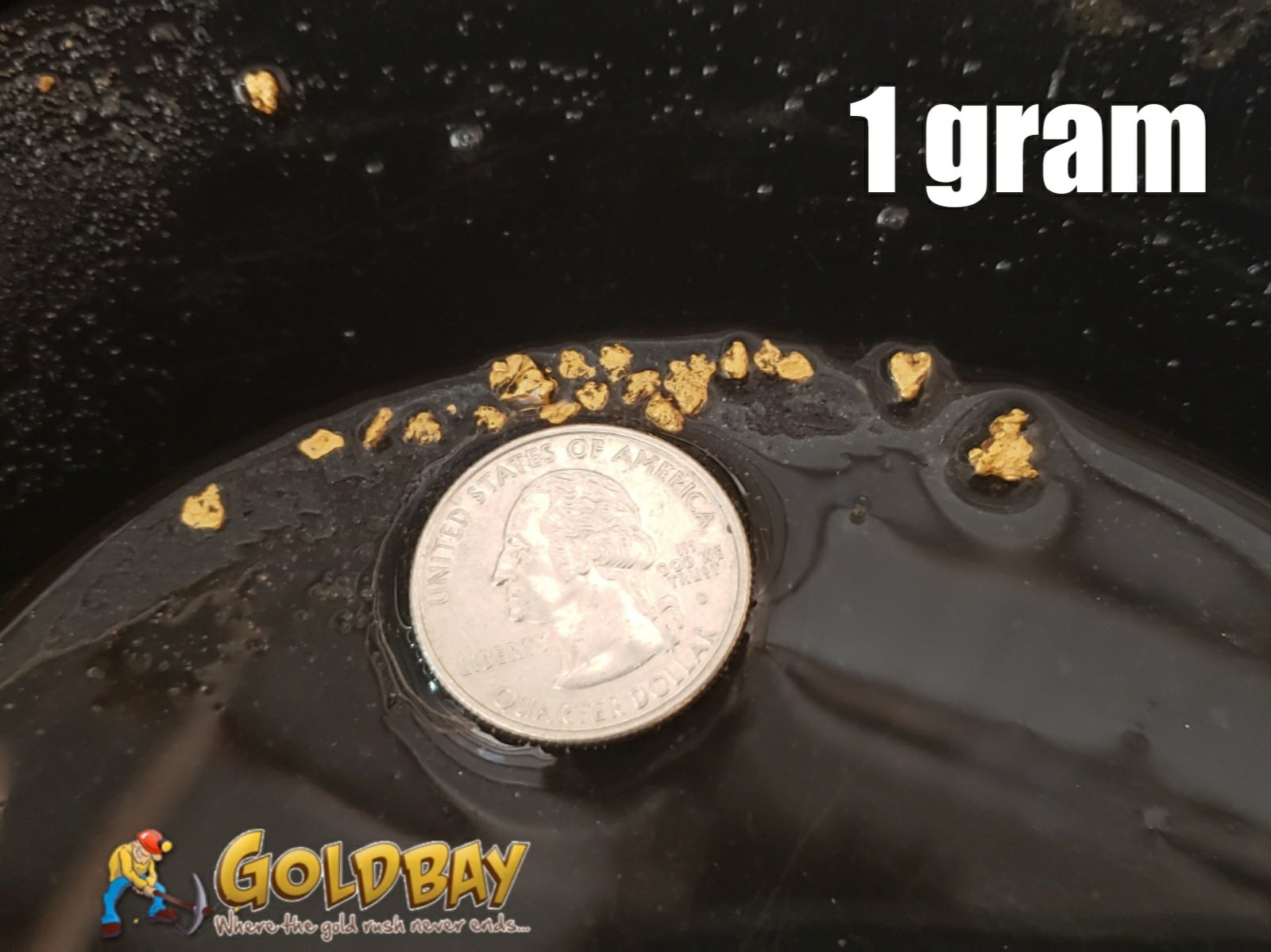 3# Pay Dirt - 1 gram Build a Bag paydirt - $49.95 per gram 00008