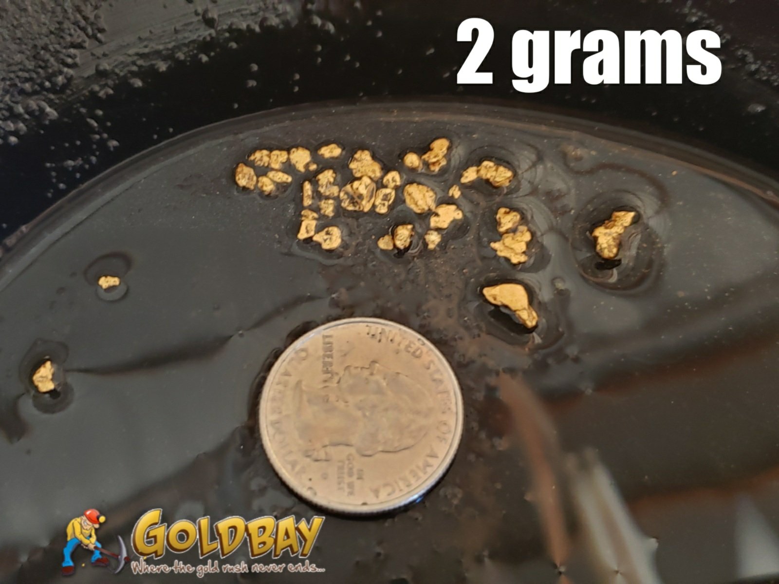 3# Pay Dirt - 1 gram Build a Bag paydirt - $49.95 per gram