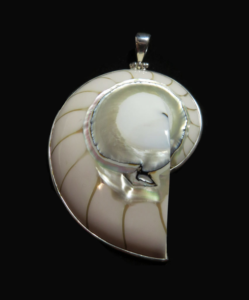 Nautilus Shell Pendant