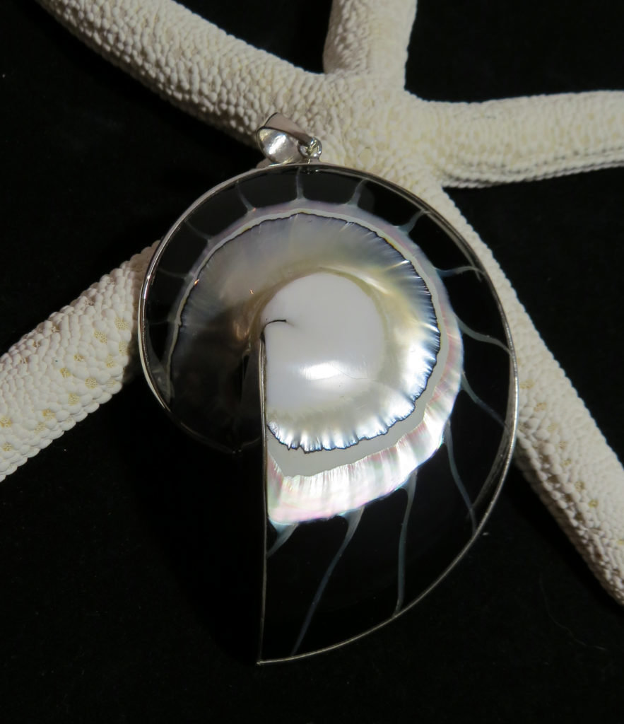 Nautilus Shell Pendant