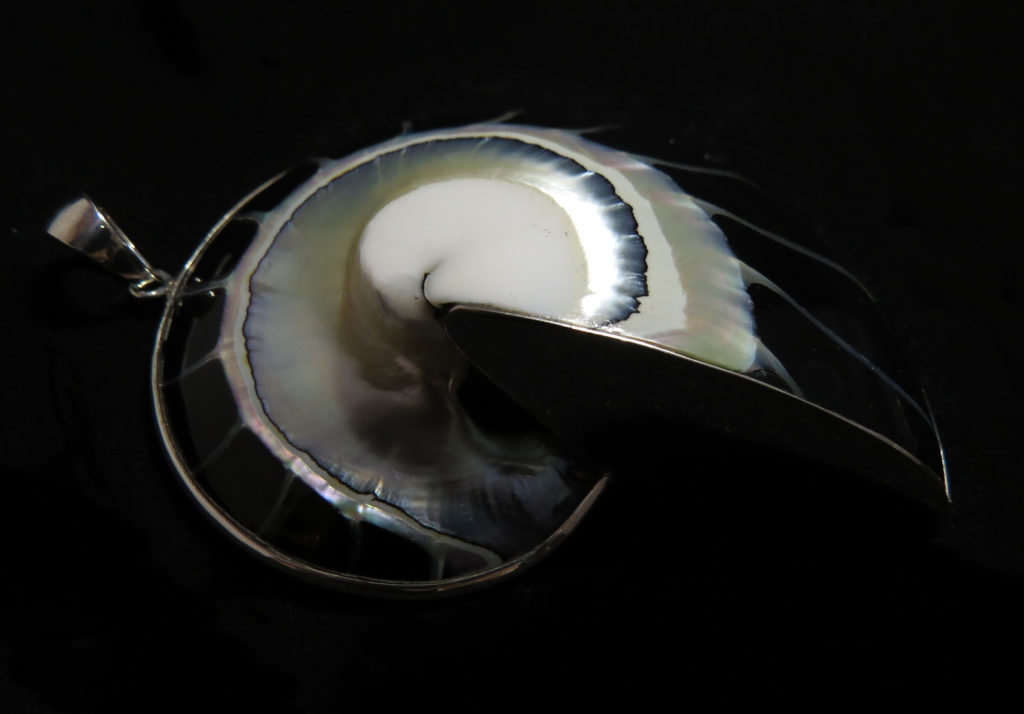 Nautilus Shell Pendant