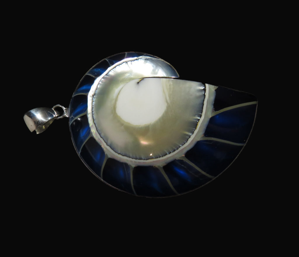 Nautilus Shell Pendant