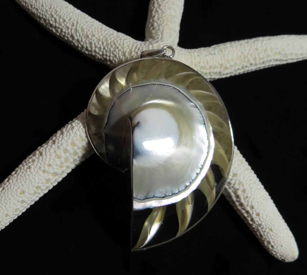 Nautilus Shell Pendant