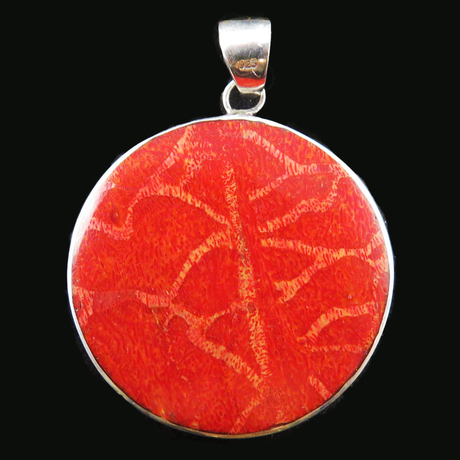 Red Coral side 2