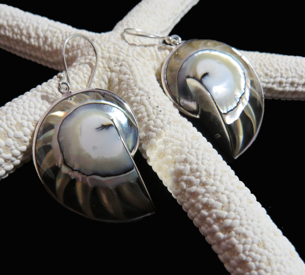 Nautilus Shell Clear Earrings AER-2444