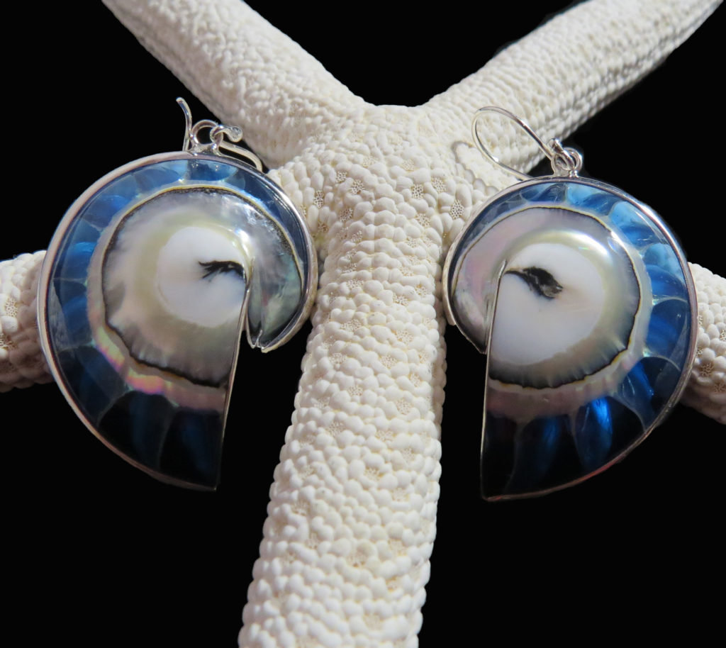 Nautilus Clear LIght Blue Earrings AER-2444 Blue