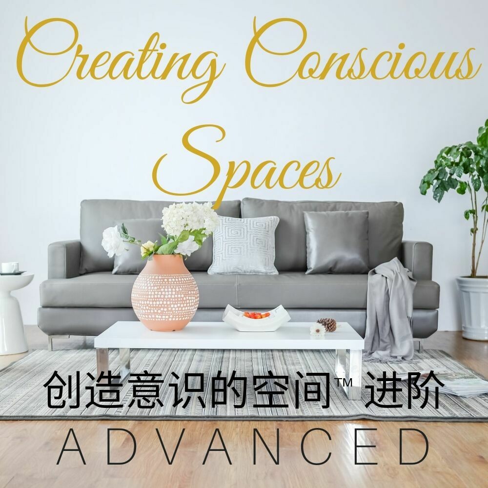 Creating Conscious Spaces ADVANCED 创造意识的空间™ 进阶 Creating Conscious Spaces ADVANCED 创造意识的空间™ 进阶