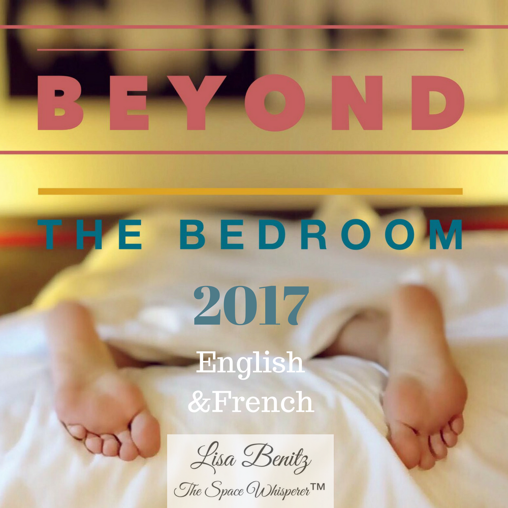 SSS 2017 ~ Au-delà de la chambre à coucher / Beyond the Bedroom ~ English & Français 00005