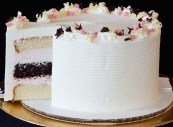 Neapolitan Neapolitan