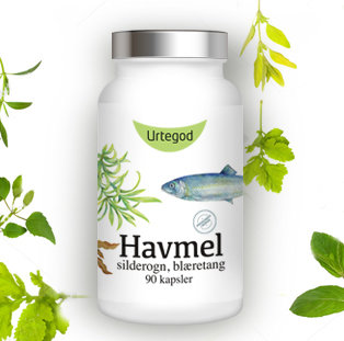 Havmel