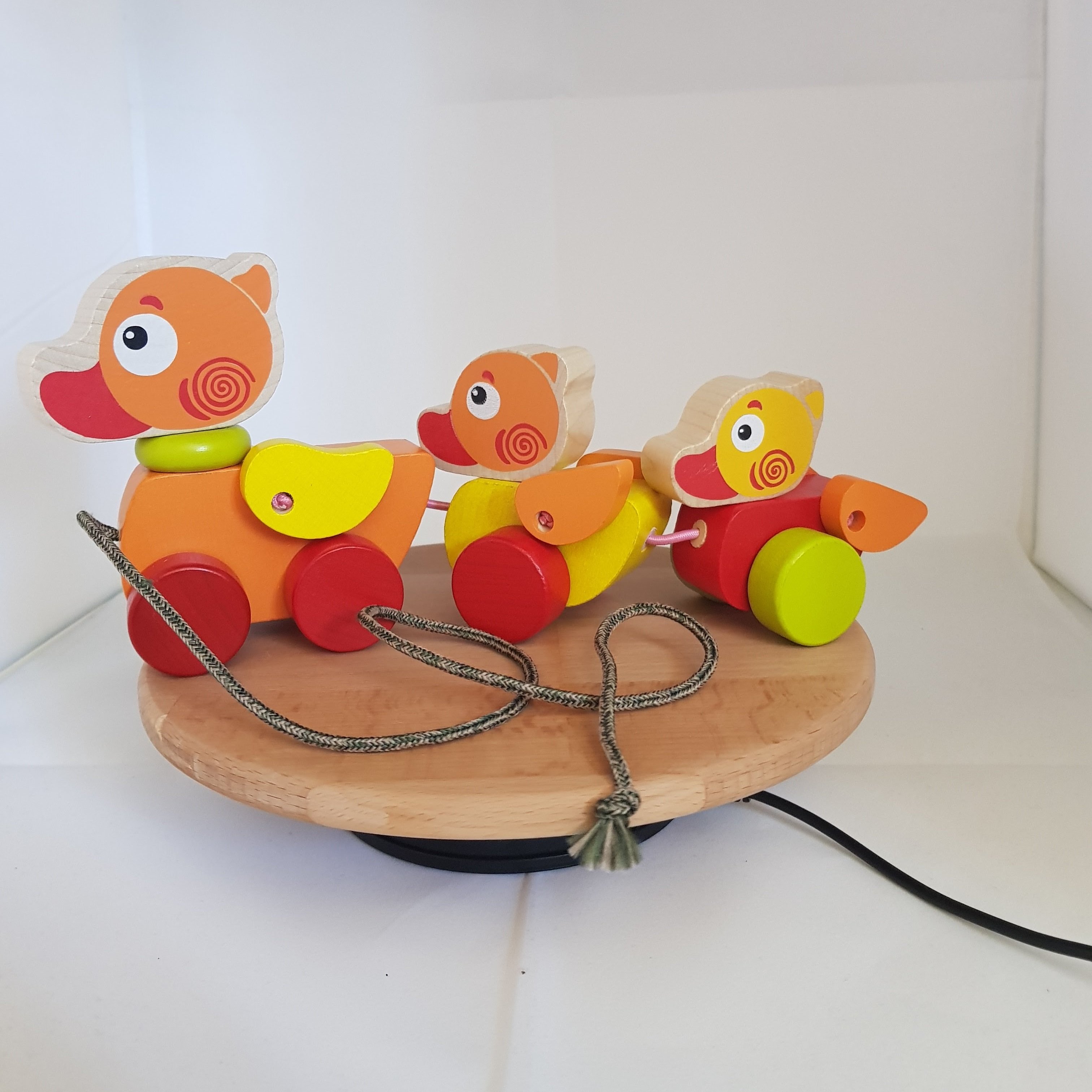 Duck Family 00029