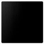 Plaque Tesla Crystallium noire grande Plaque Tesla Crystallium noire grande
