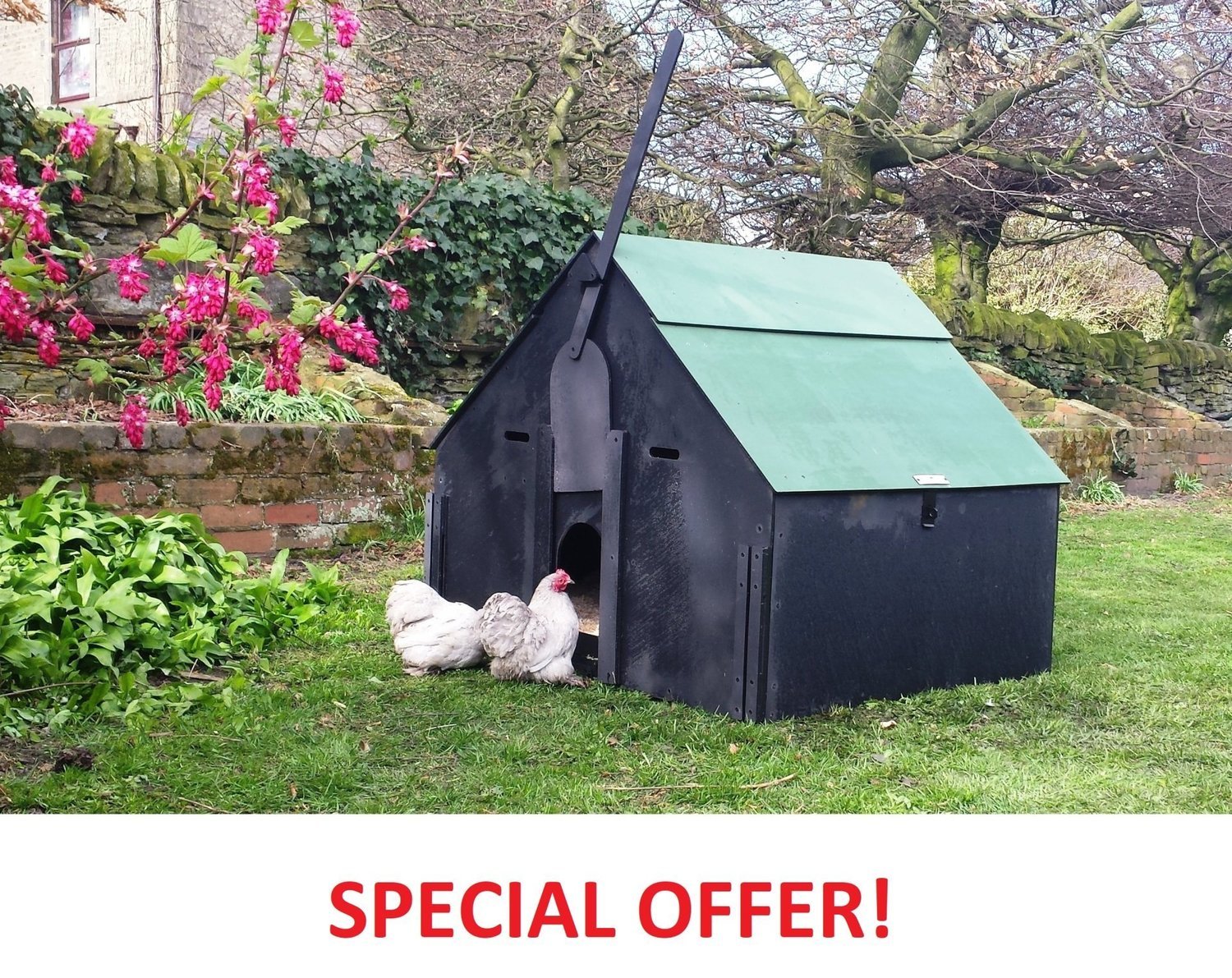 Durham Hen House For Up To 12 Hens Special Offer